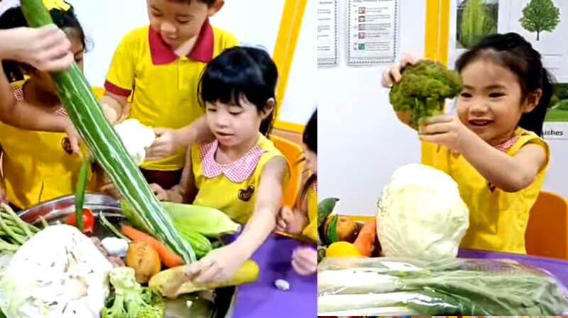 Kids Cookery